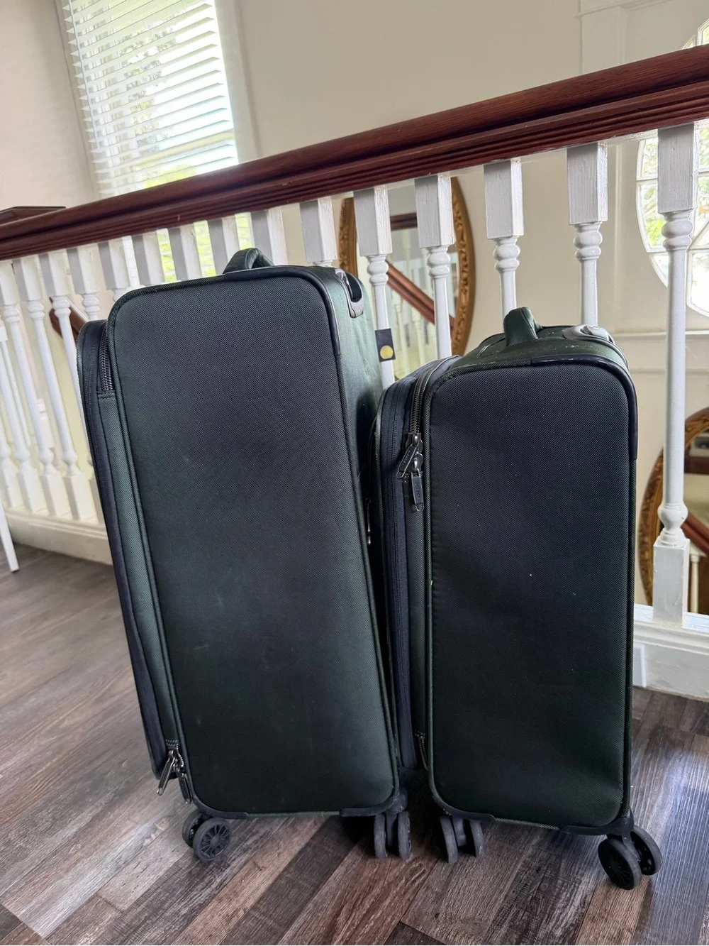 Delsey Paris Dark Green Medium Check-In and Carry-On Luggage